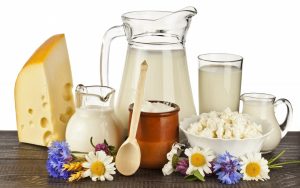 dairy products | balanced diet for diabetes