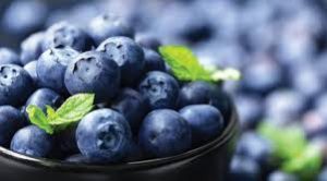 blueberries | healthy diet for stress