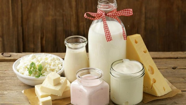 dairy product | foods for elderly people