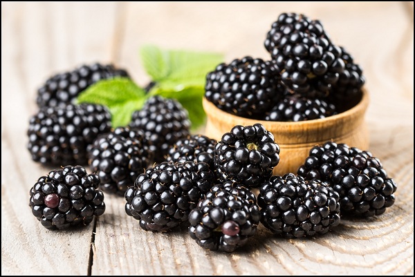 Blackberry | weight loss diet