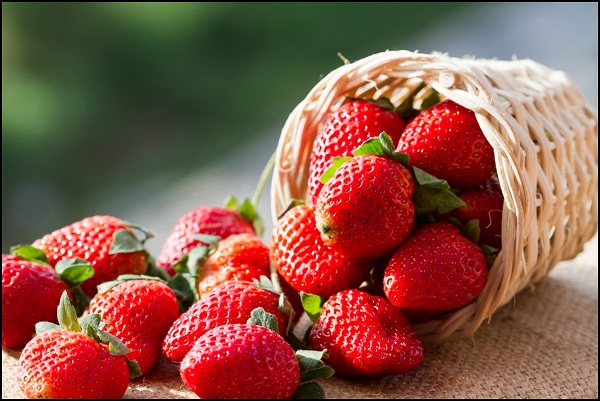 strawberry | weight loss diet