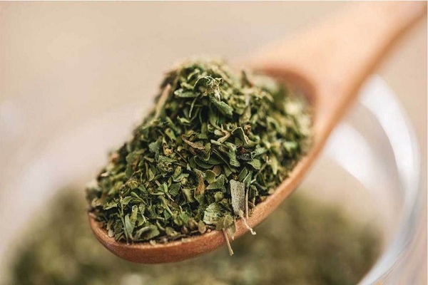 Oregano | healthy herbs for winters