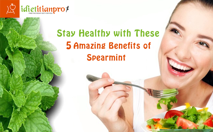 Stay Healthy with These 5 Amazing Benefits of Spearmint
